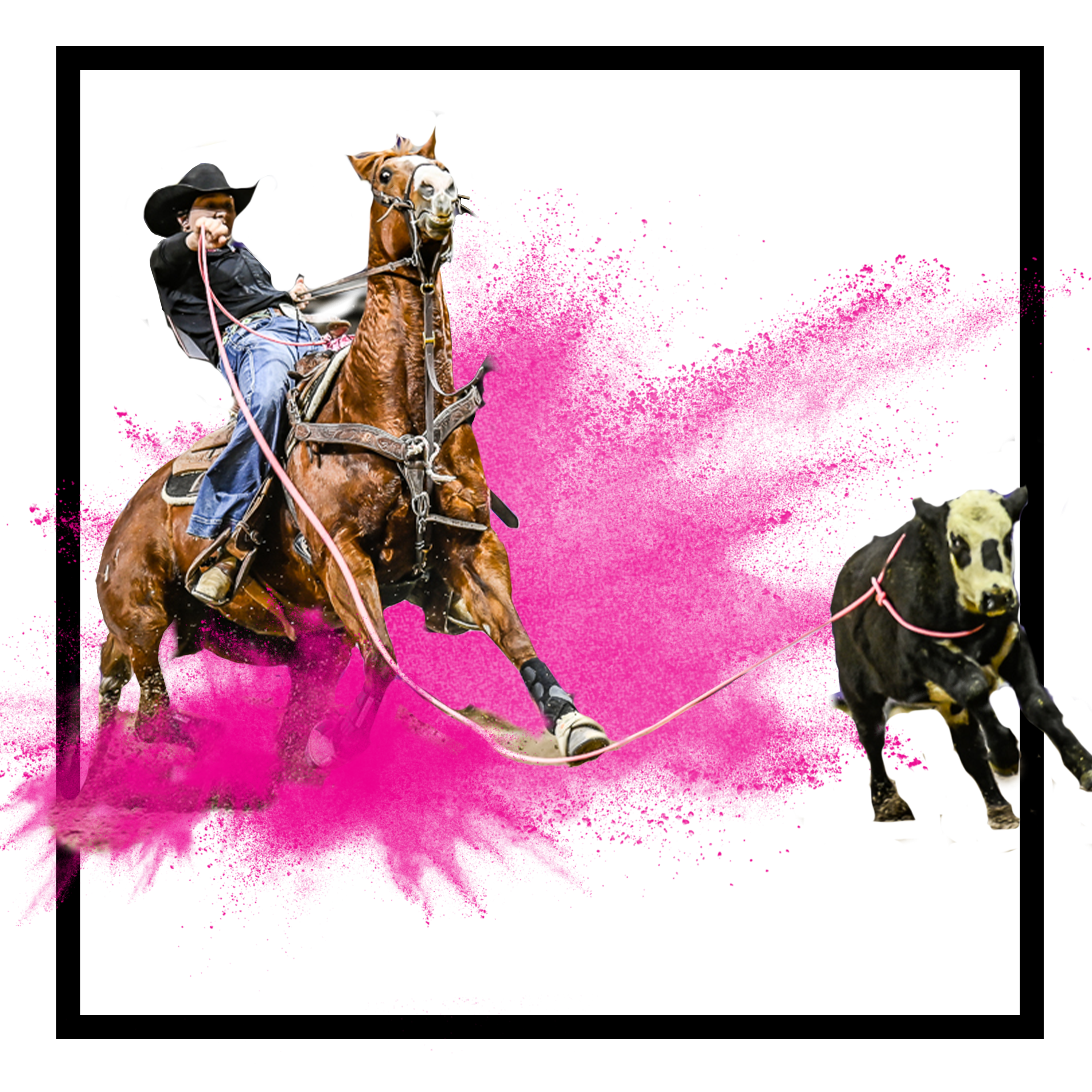 Shop Breakaway Ropes by Lone Star Ropes