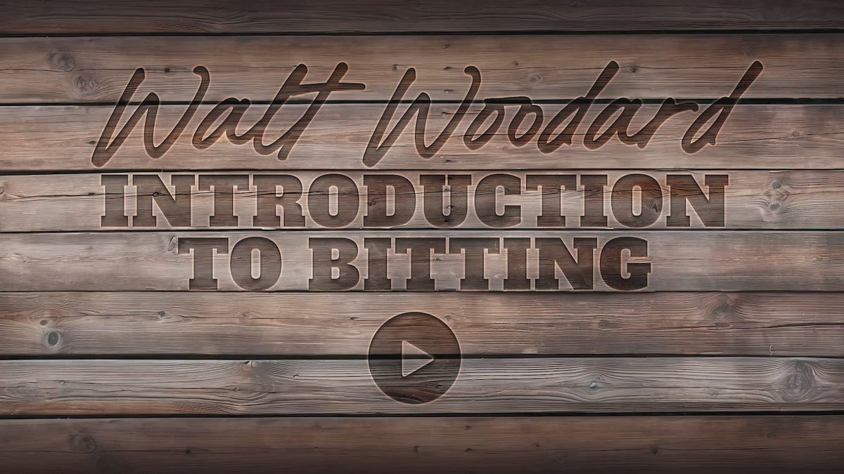 STARTING BITS (BEGINNING CONTROL)